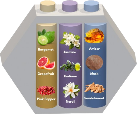 Three Dopamine fragrance pods in a hexagonal holder: a citrus pod with bergamot, grapefruit, and pink pepper; a floral pod with jasmine, hedione, and neroli; and a warm pod with amber, musk, and sandalwood